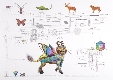 私人生物学17