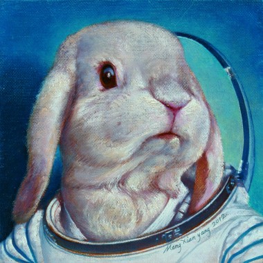 Fold rabbits Wearing Spacesuit