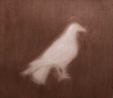 鸽子